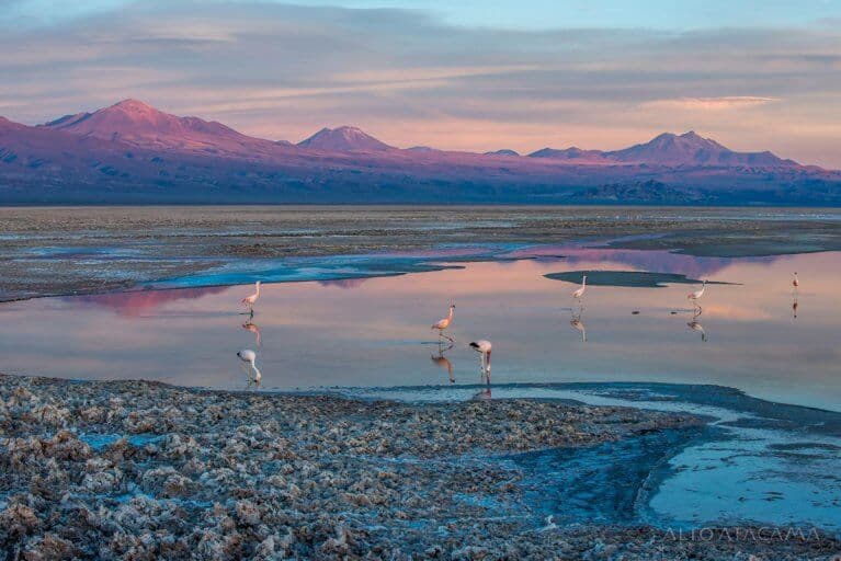 Paisaje de Salinas Grandes